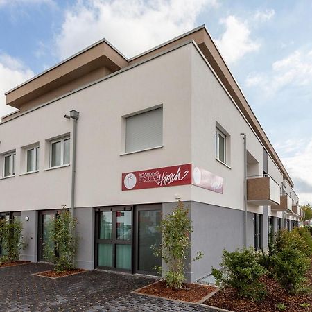 Boardinghouse Hirsch - Apartments In Kork Kehl Экстерьер фото